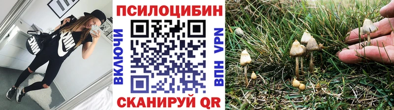 наркота  Иноземцево  Галлюциногенные грибы мицелий 